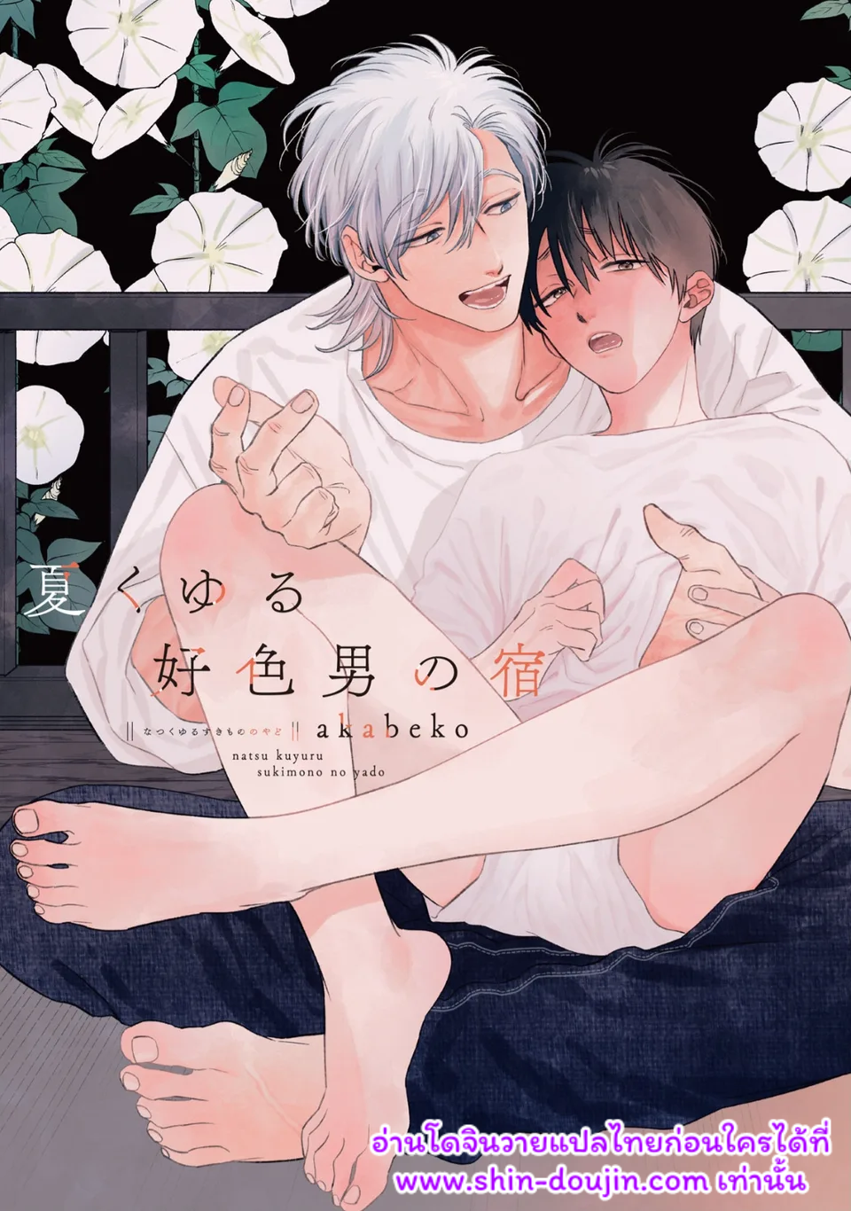 ที่พักตากอากาศสำหรับคู่รัก Natsu Kuyuru Sukimono no Yado
